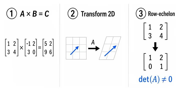 Vignette du projet Calcul Matriciel